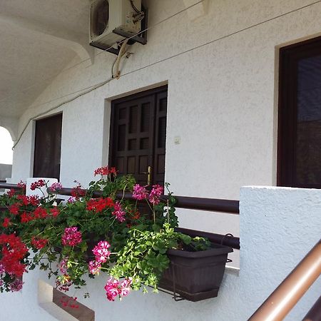 Apartman Tripkovic บาร์ ภายนอก รูปภาพ
