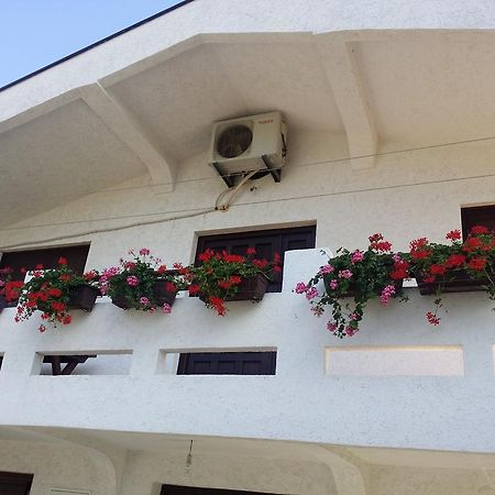 Apartman Tripkovic บาร์ ภายนอก รูปภาพ