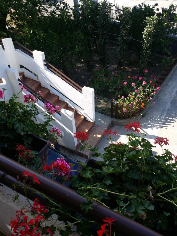 Apartman Tripkovic บาร์ ภายนอก รูปภาพ