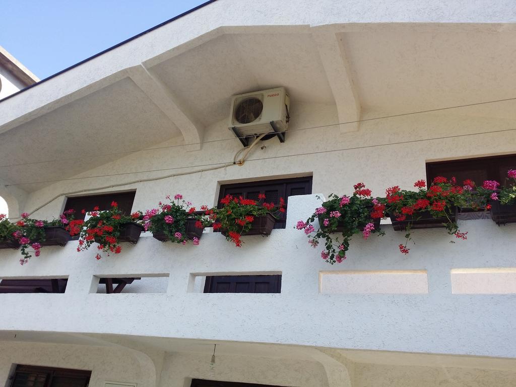 Apartman Tripkovic บาร์ ภายนอก รูปภาพ